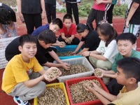 拥抱自然 快乐采摘