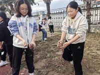 挖红薯 趣劳动
