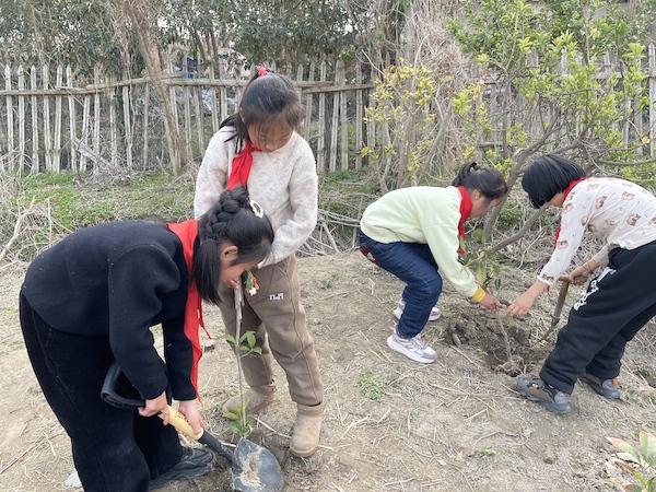 13d356a76ed54d52ba50e652e85cbb82.jpg 13d356a76ed54d52ba50e652e85cbb82.jpg