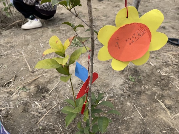 95b900eeb5a54cf0b91201f292dbb722.jpg 95b900eeb5a54cf0b91201f292dbb722.jpg