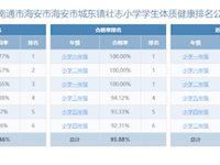 2024年度江苏省南通市海安市海安市城东镇壮志小学学生体质健康排名公示